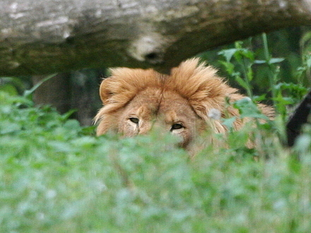 img_0573.jpg