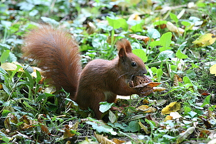 img_1650.jpg