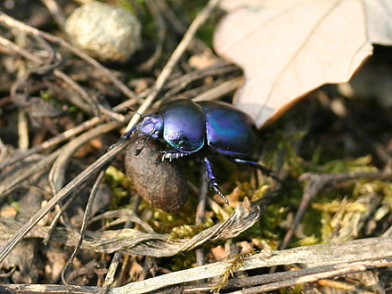 img_4620.jpg