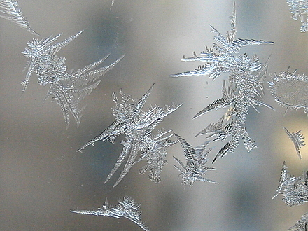 img_4918.jpg